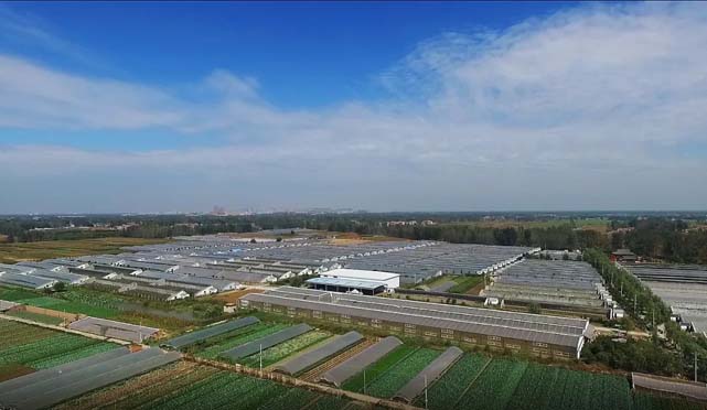 微信图片_20220226145315.jpg 微信图片_20220226145315.jpg